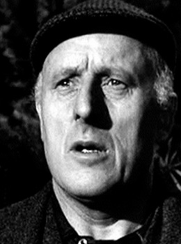 Биссет Дональд