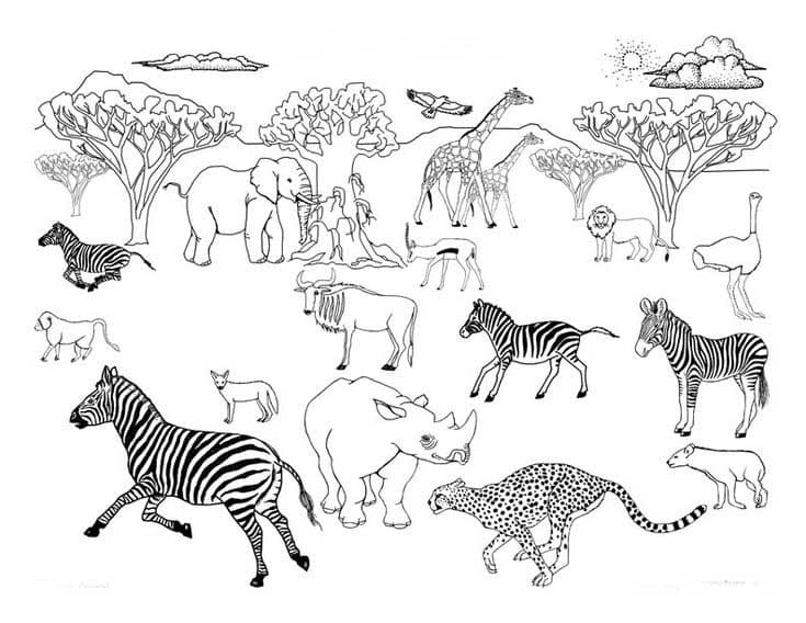 Животные Африки раскраска