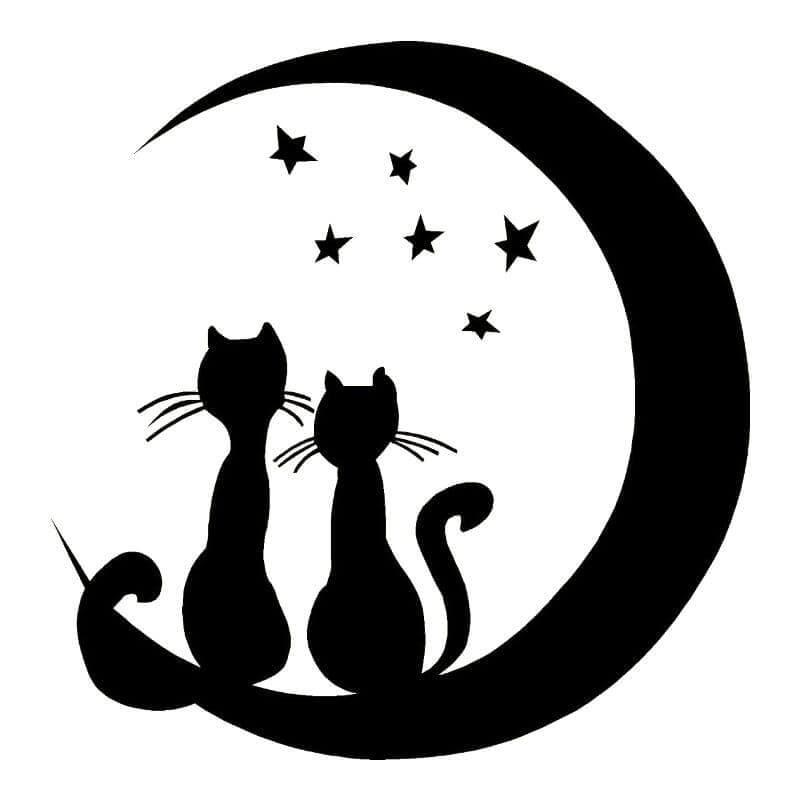 Луна звезды и коты