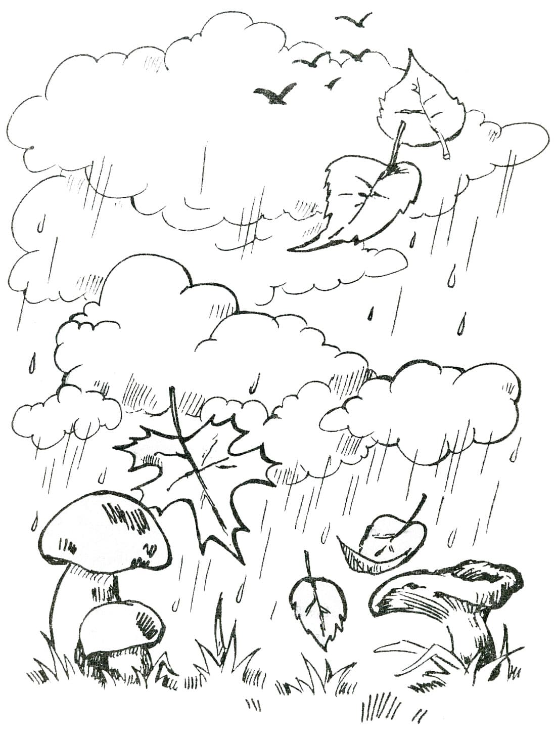Дождь грибы и листья