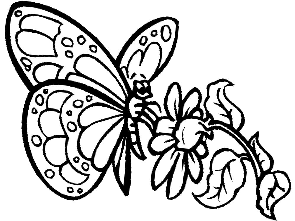 Бабочка и цветочек