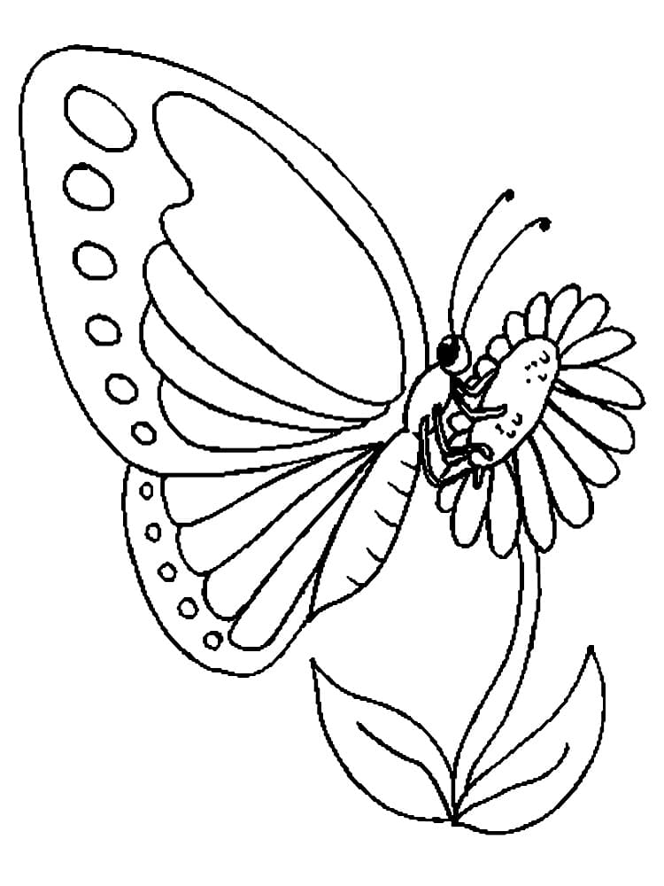 Бабочка на большом цветке