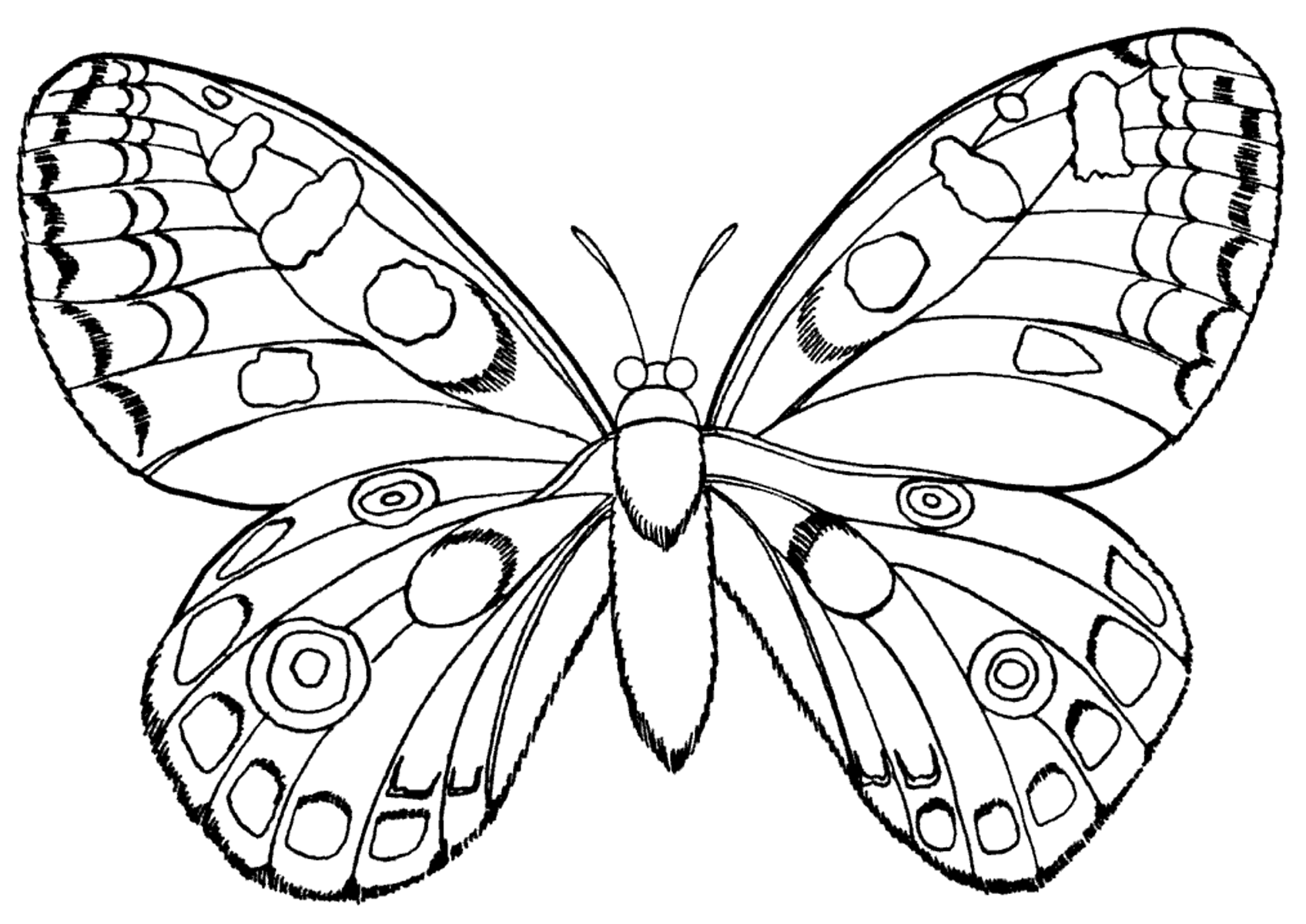 Бабочка с кружочками