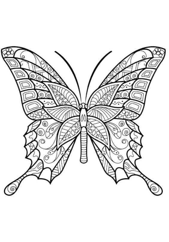 Бабочка с полосами антистресс