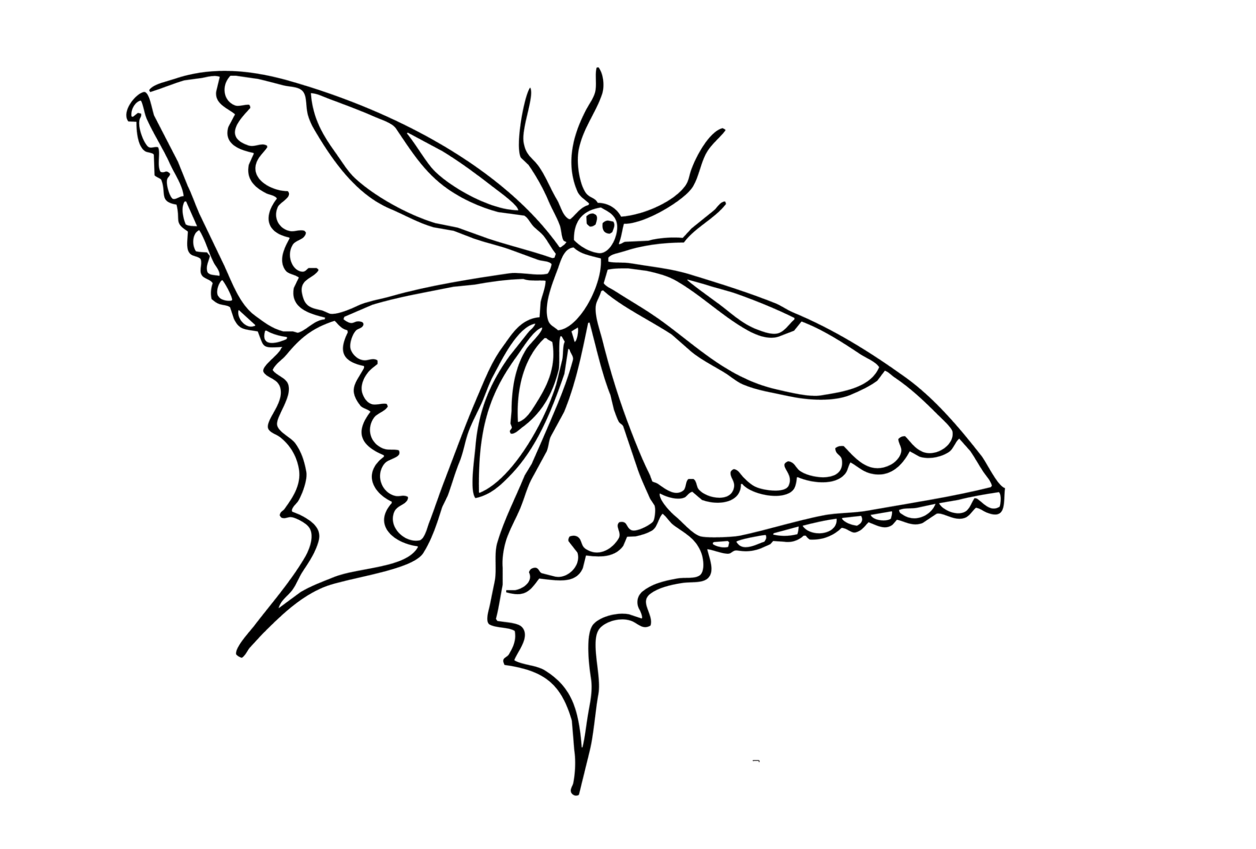 Бабочка с треугольными крыльями