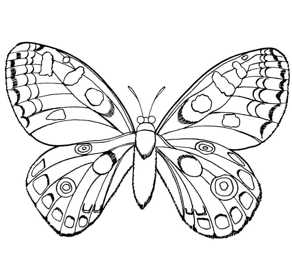 Бабочка с узорами и кружками