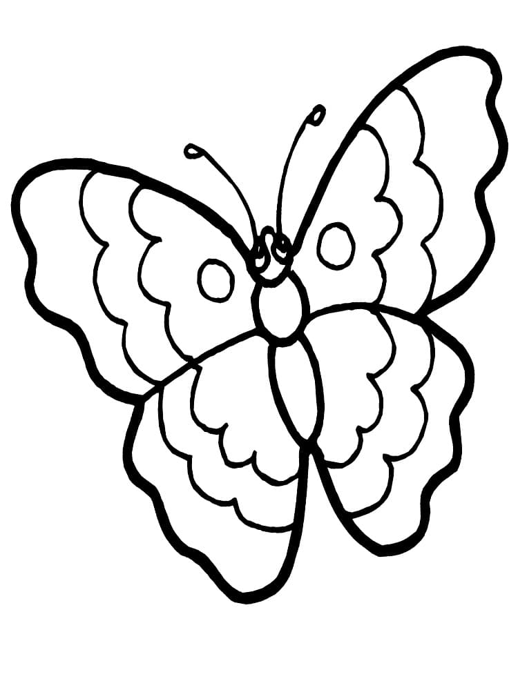 Бабочка с узорами и волнистыми крыльями