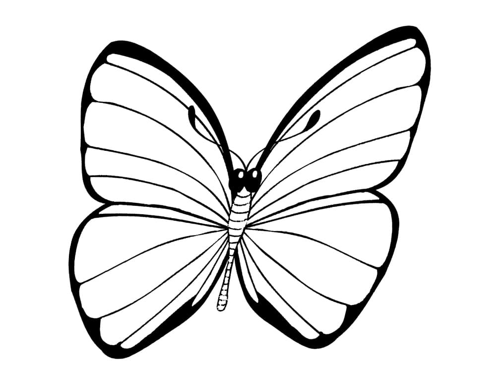 Полосатая бабочка раскраска