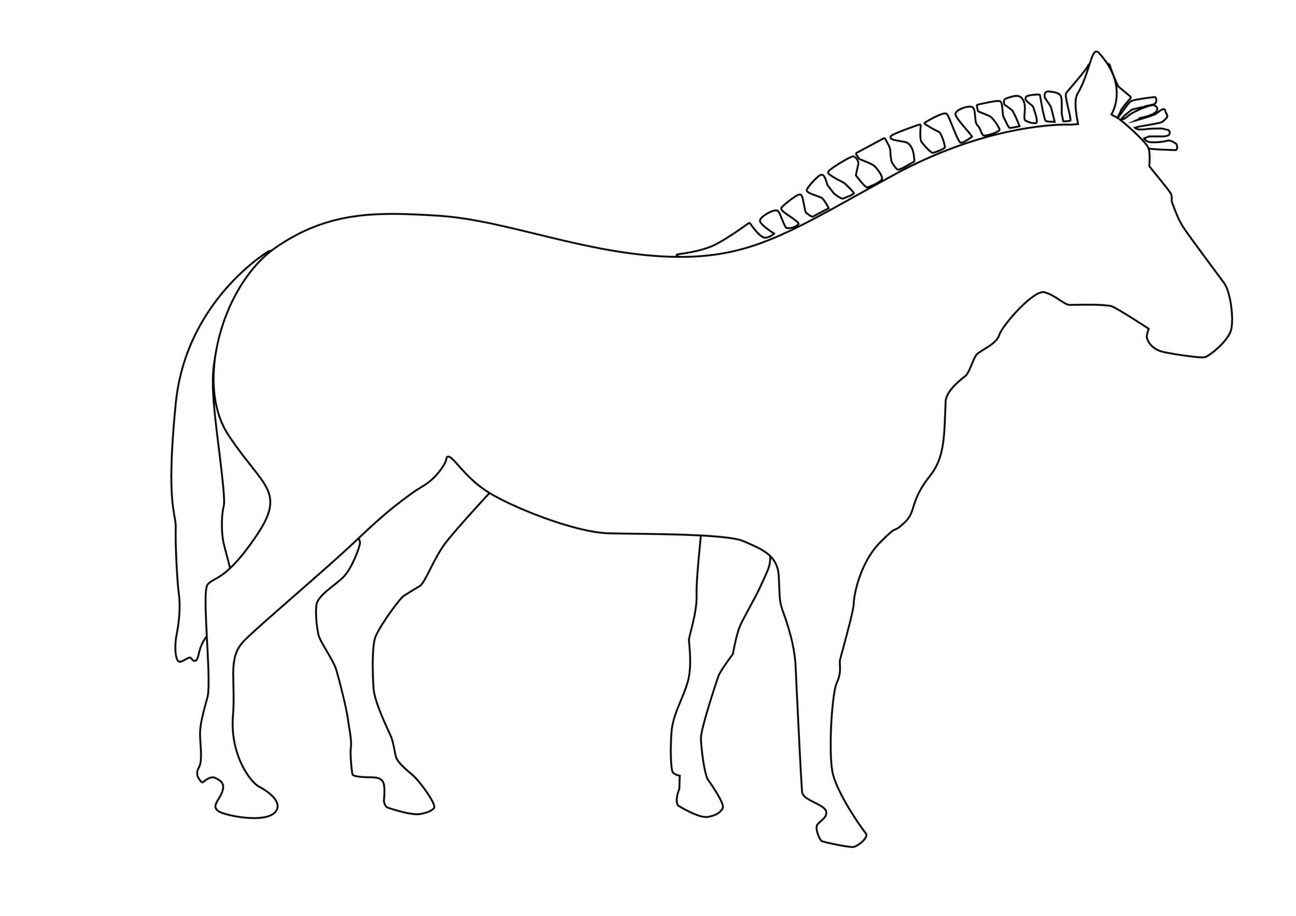 Лошадка или зебра
