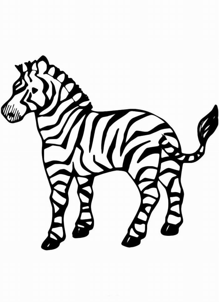 Раскраска для детей зебра