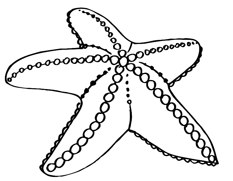 Раскраска морская звезда