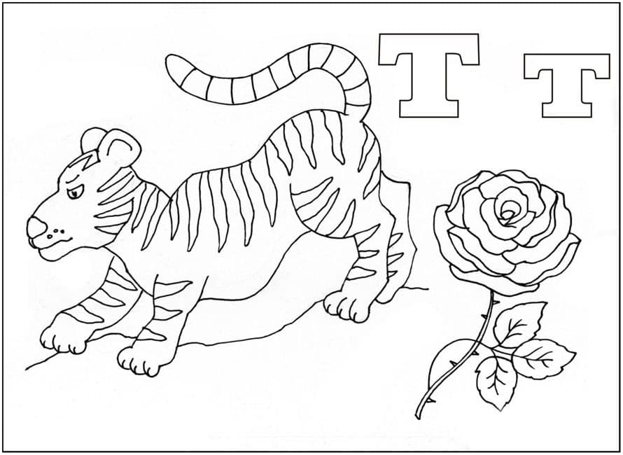 Тигр раскраска буквы Т