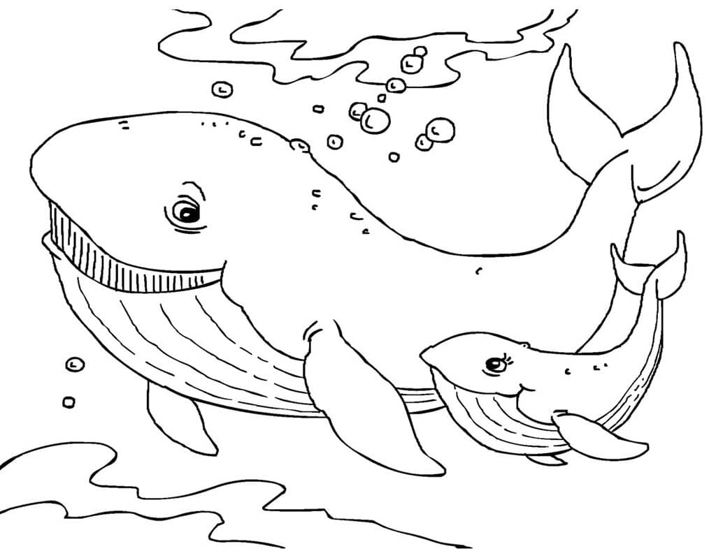 Раскраска киты