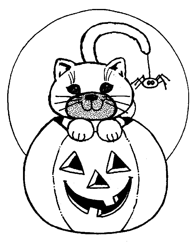 Кошка и тыква на хэллоуин