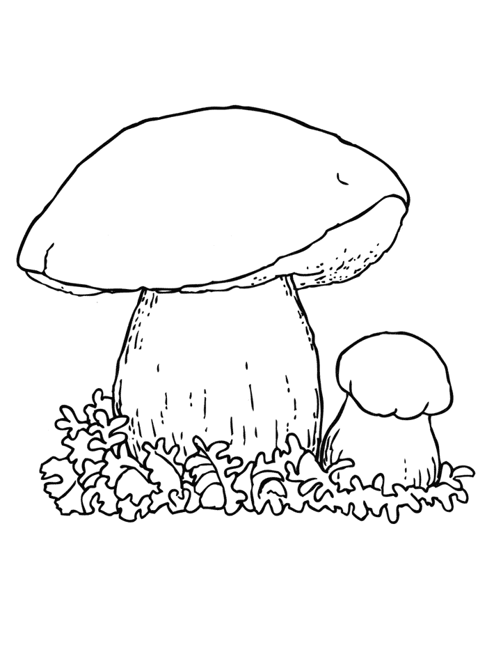 Два гриба раскраска