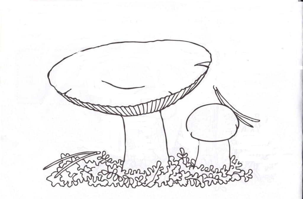 Невкусные грибы