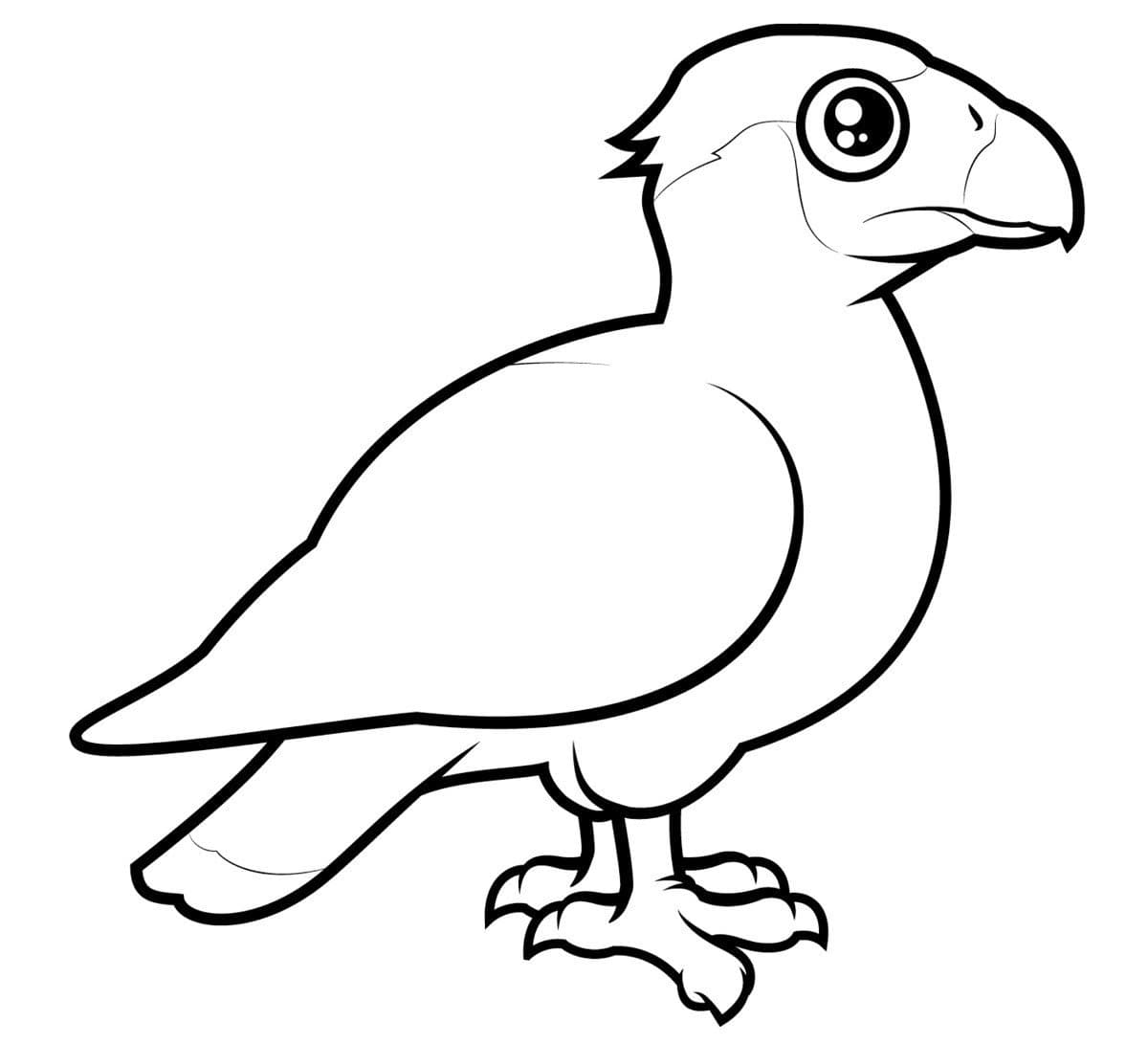 Детская раскраска перелетная птица