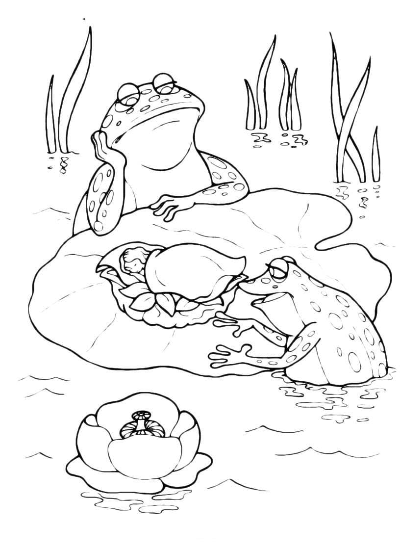 Лягушки в воде