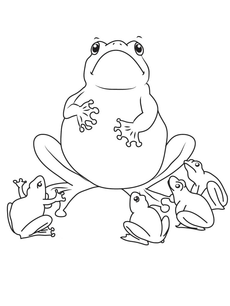 Раскраска жабы