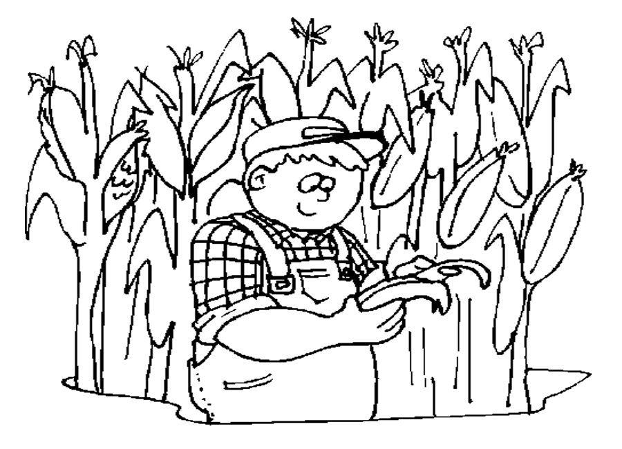 Фермер на кукурузном поле