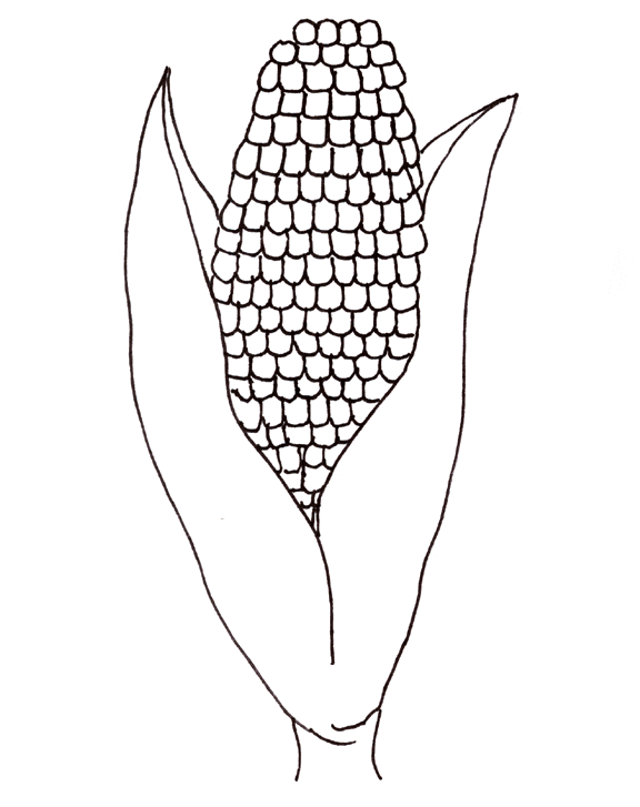 Раскраска для детей кукуруза