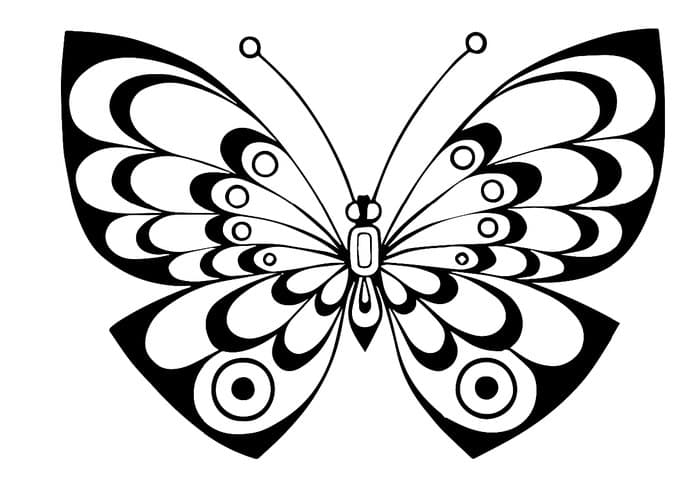 Бабочка с красивыми узорами шаблон