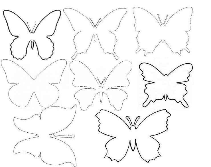 Бабочки шаблон