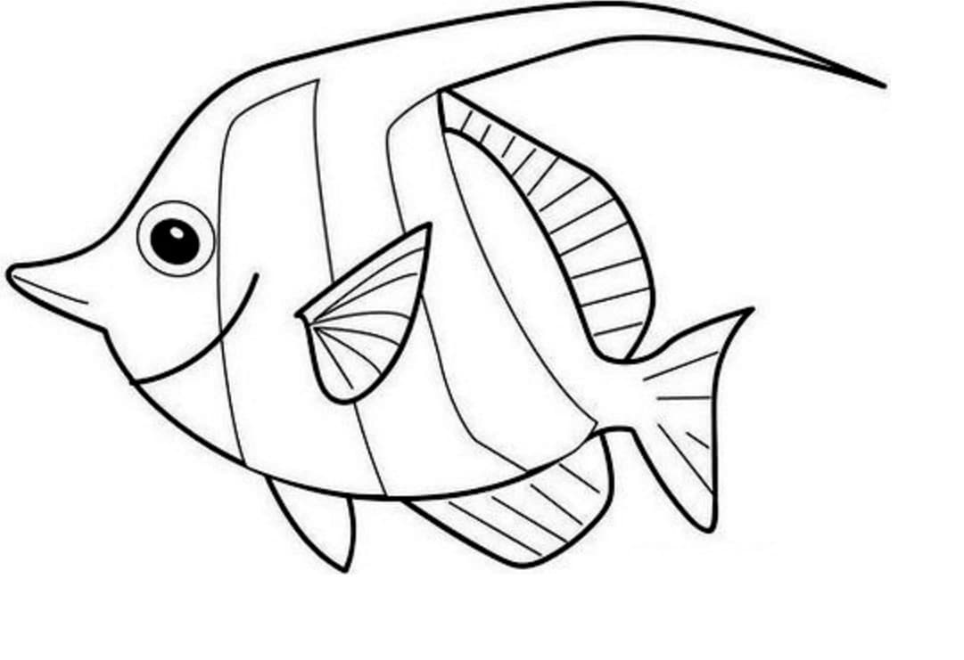 Красивая рыбка раскраска-трафарет