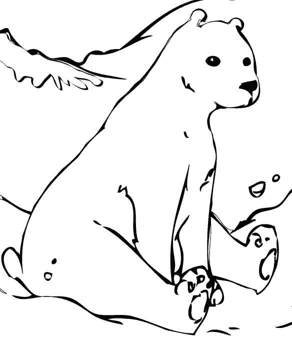 Медведь сидит