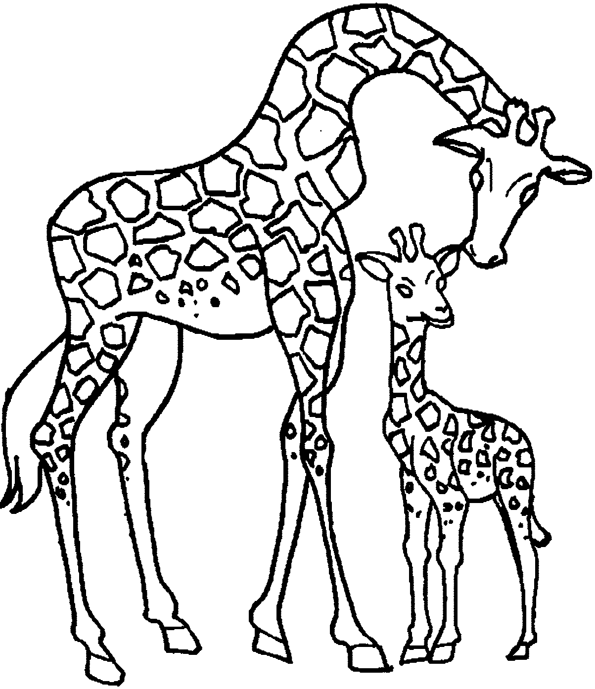 Большой и маленький жираф