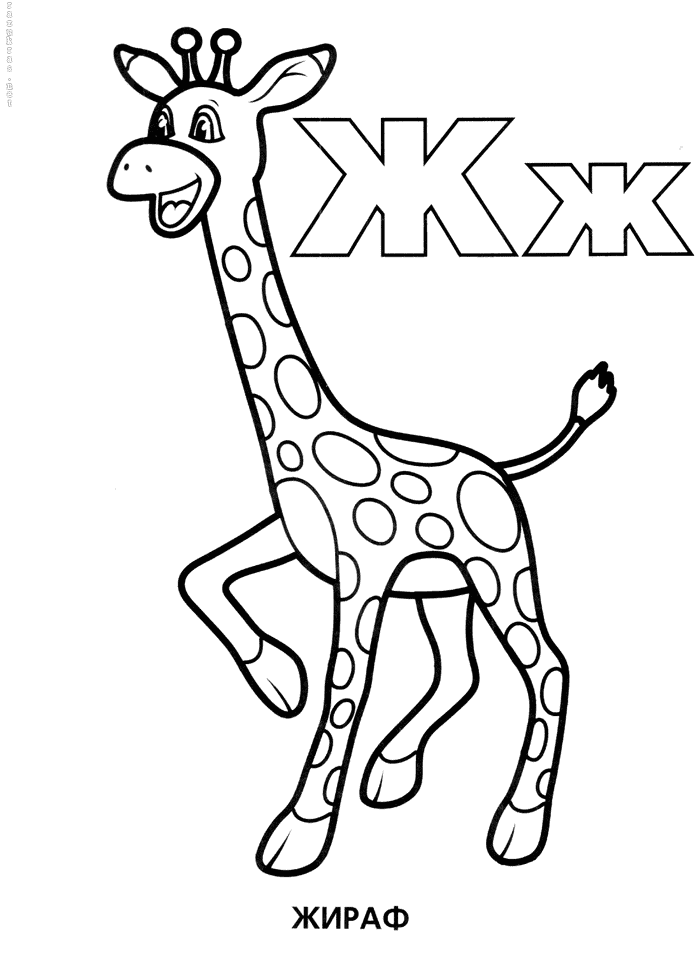 Раскраска буквы Ж жираф
