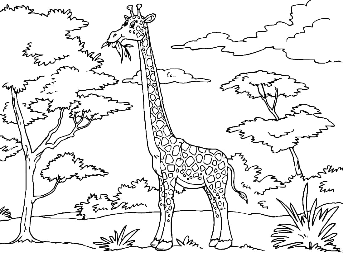 Жираф и деревья