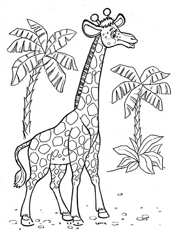 Жираф и пальмы