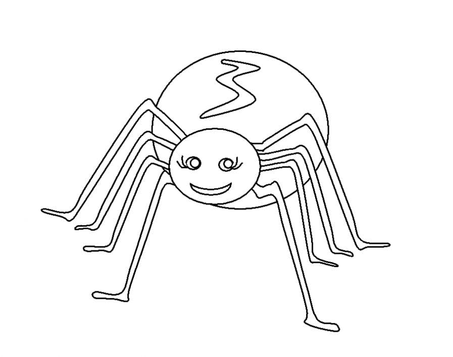 Смешной паук