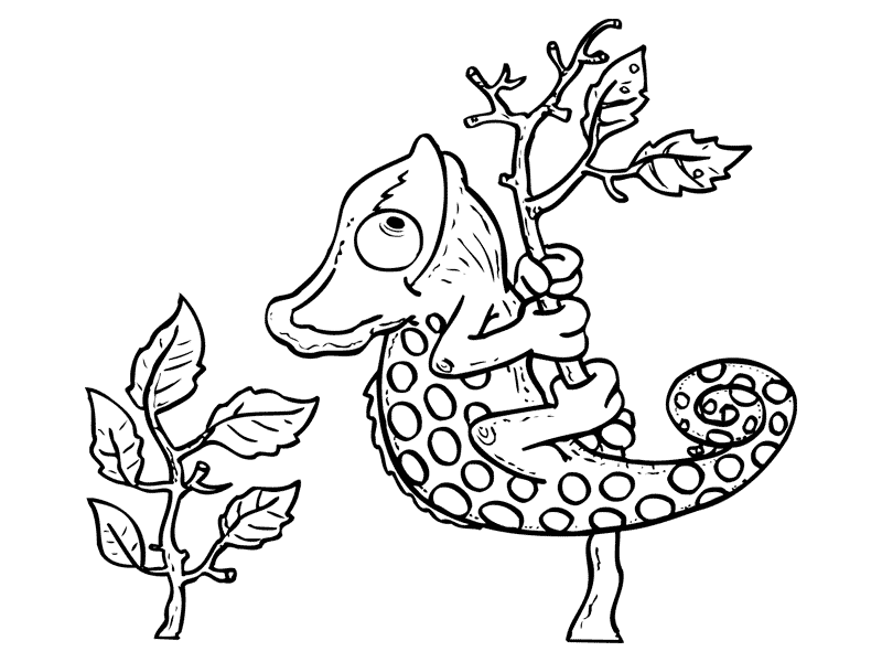 Хамелеон ползет на цветочек