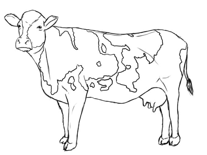 Детская раскраска корова