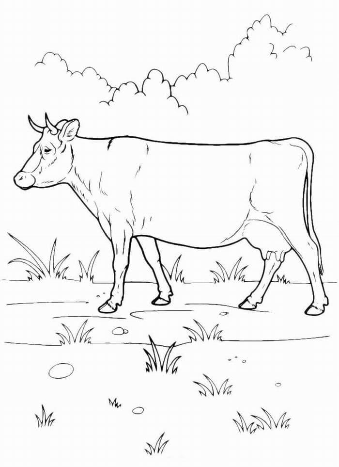 Корова на природе