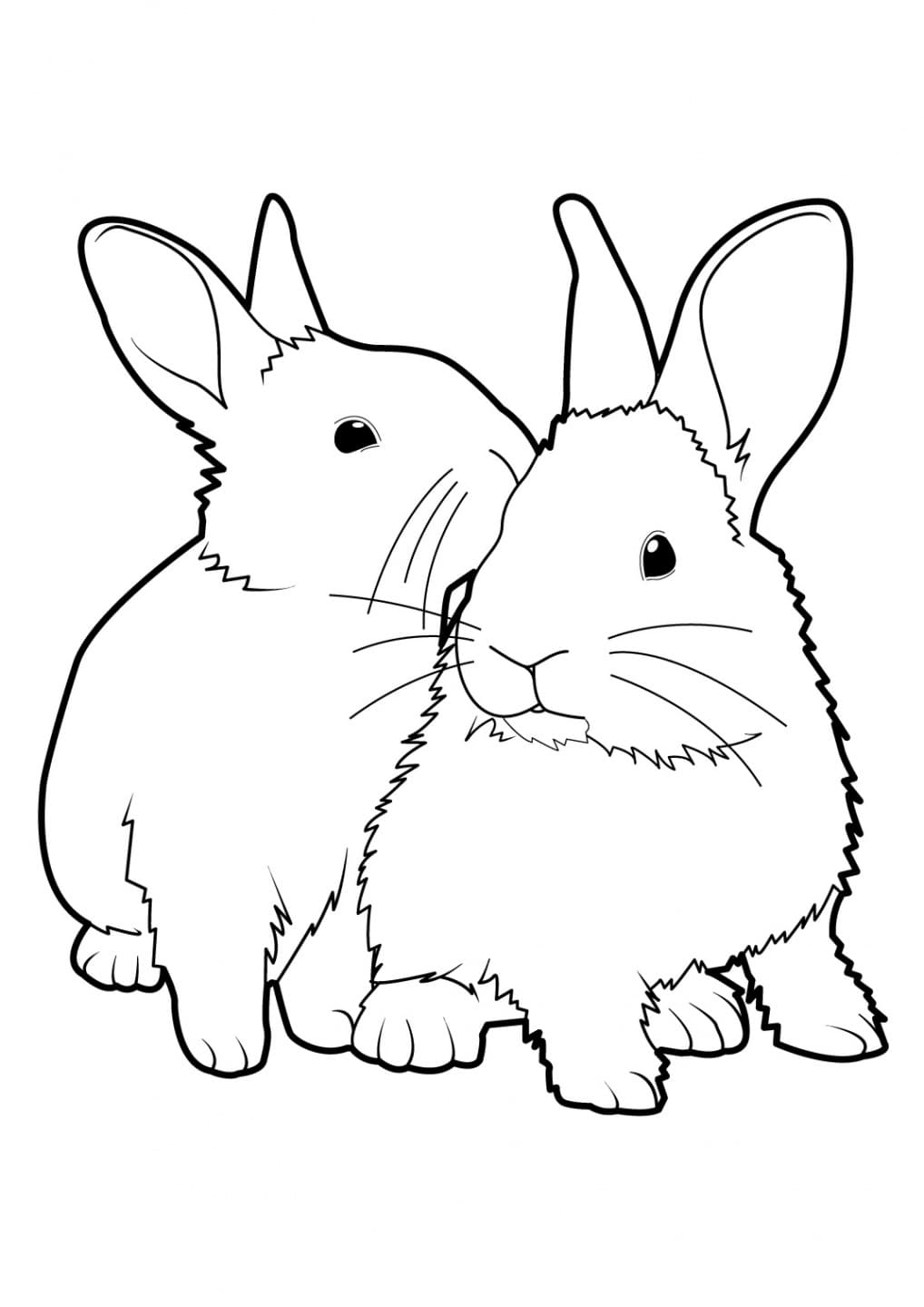 Кролик муж и жена