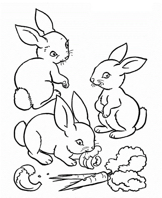 Кролики с морковкой и яблоками