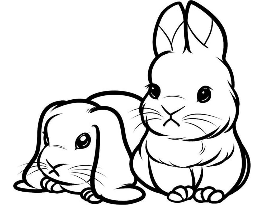 Кролики с треугольными ушами