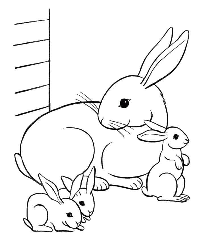 Семья зайцев