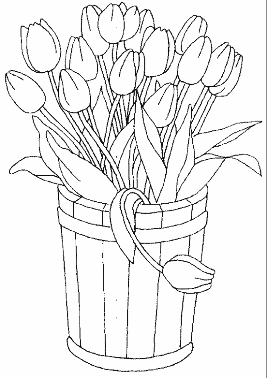 Тюльпаны в ведре
