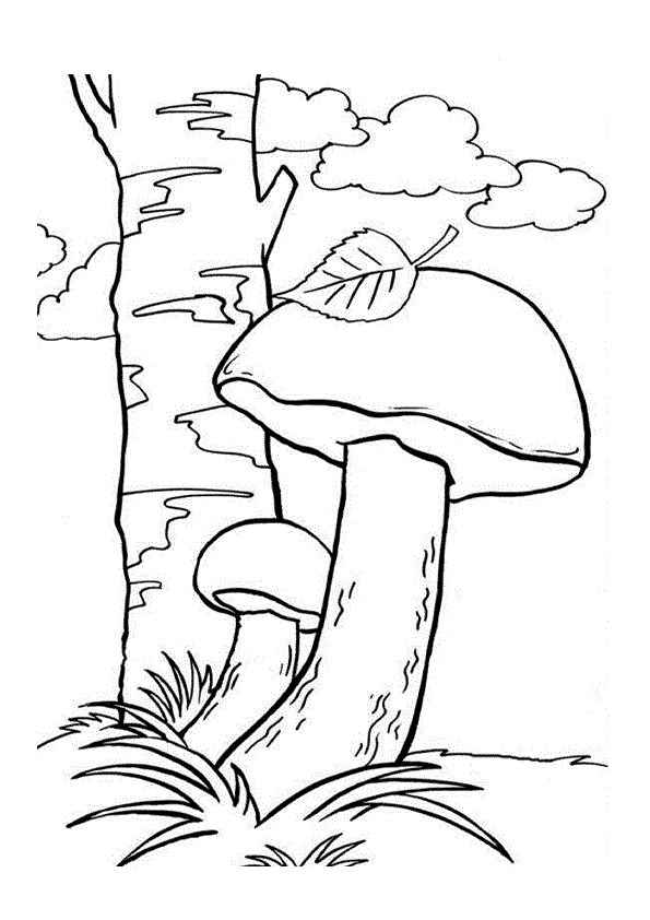 Ёереза и грибы