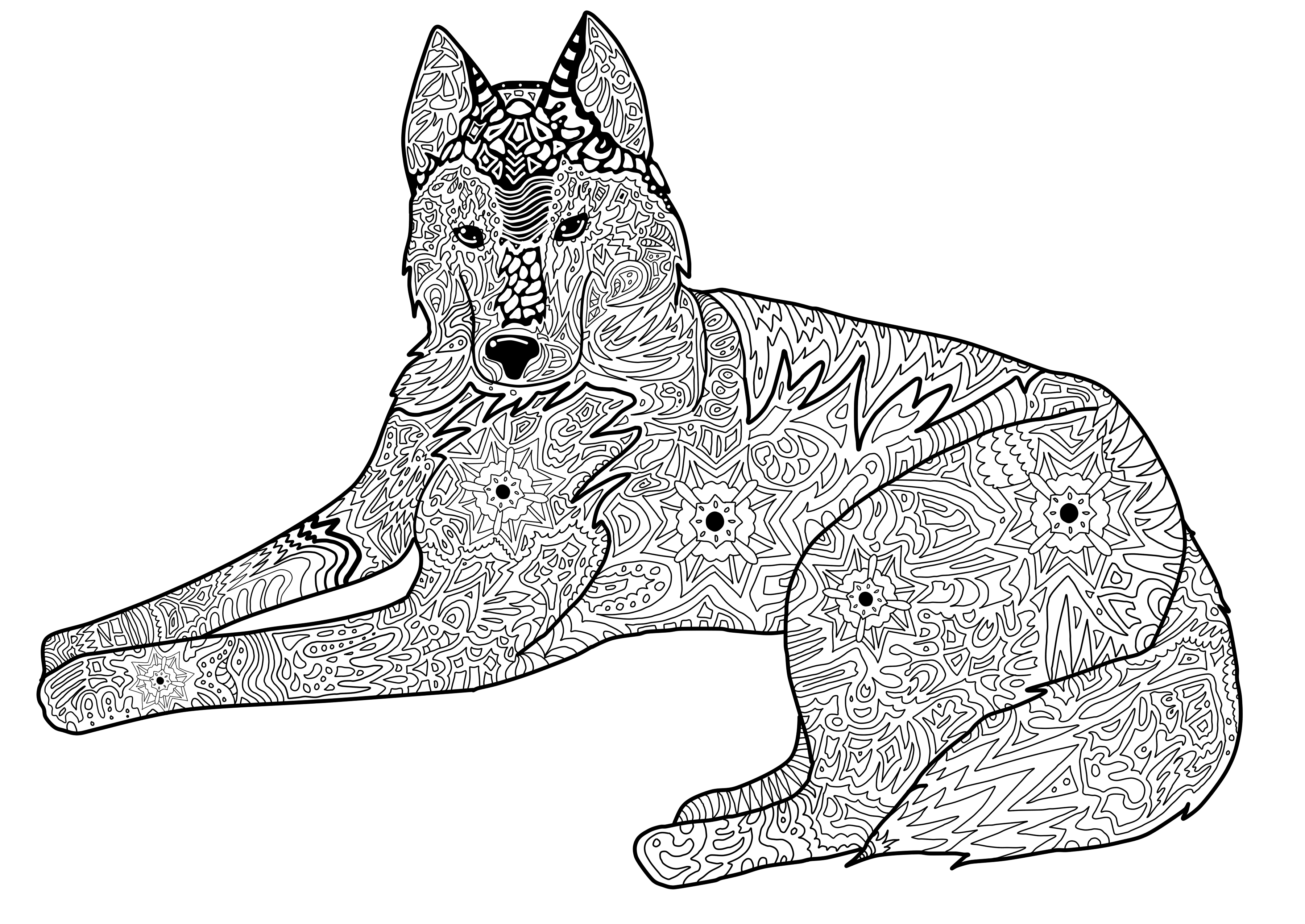 Картинка собака