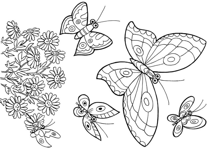 Раскраска Каляка-Маляка пальчиками Бабочка А4. Купить в интернет-магазине Бонжур