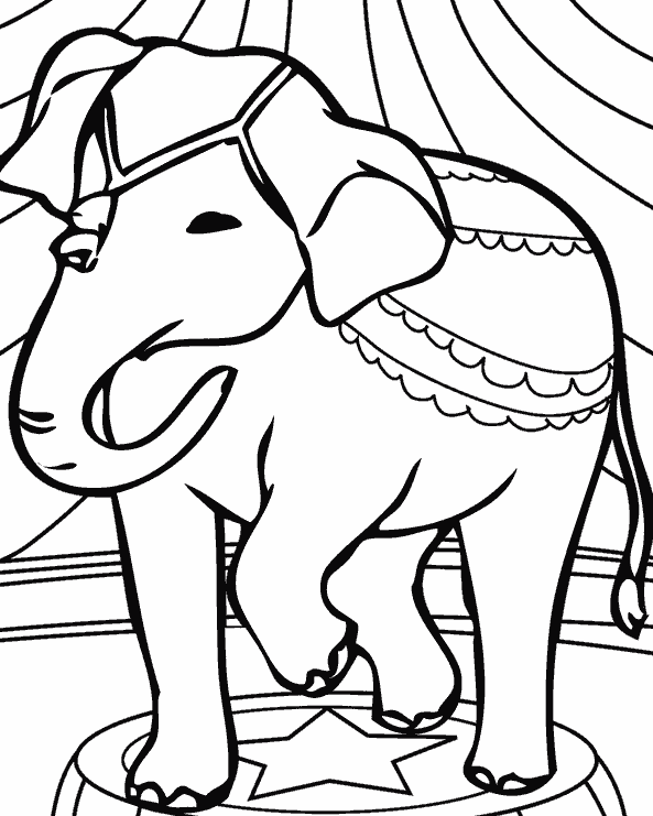 Индийский слон / Животные Раскраска картина по номерам на холсте с неоновой краской AAAA-V0038