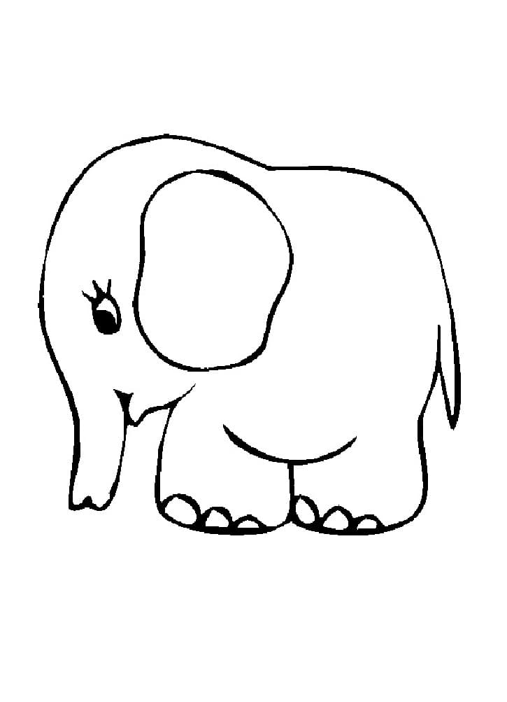 Маленький слоненок