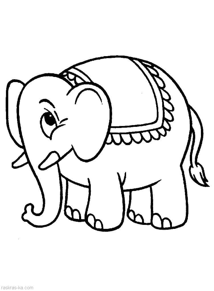 Слон с ковриком на спине