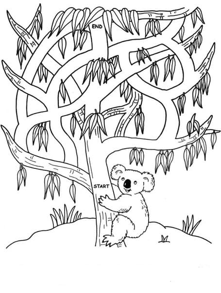 Лабиринт панда на дереве