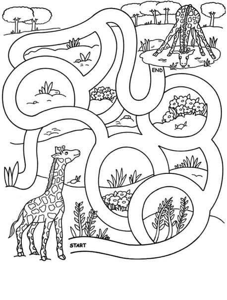 Жираф и осьминог лабиринт